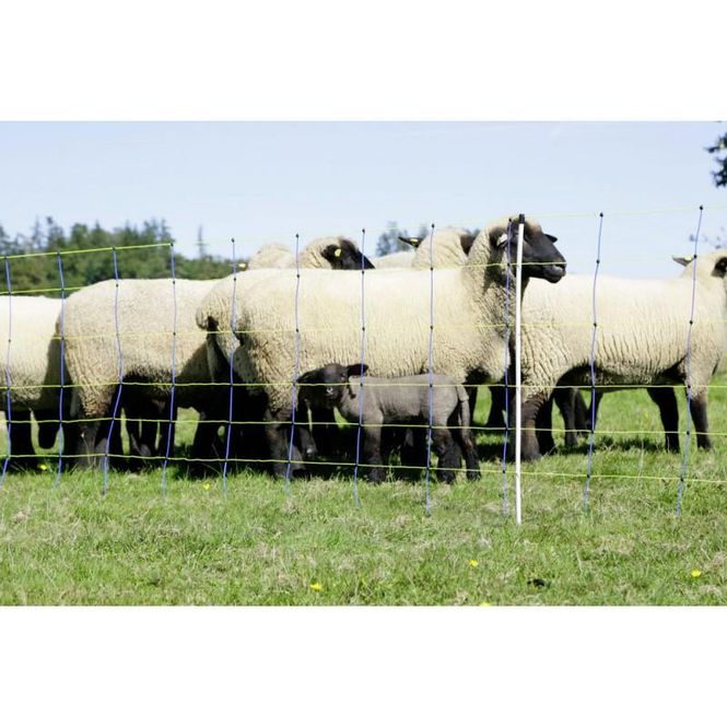 Hovedbilde Gjeternetting Pro+ 50m – Maksimal ...