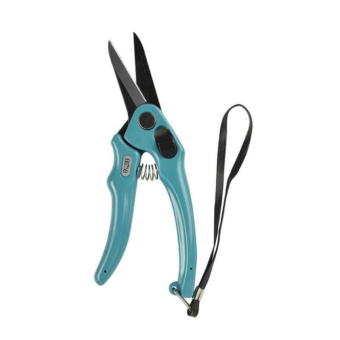 Hovedbilde Professional Footrot Shear (Plain Blades): En ...