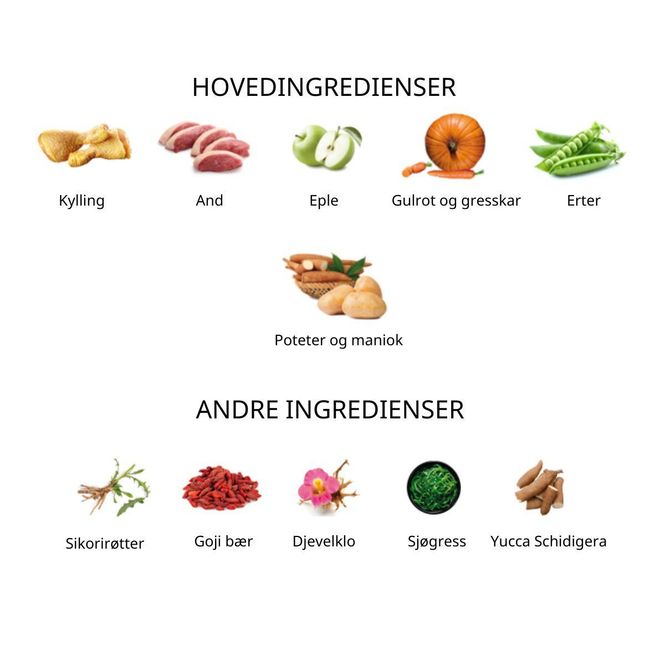 Hovedbilde Ownat Author Fersk And & Kylling 10kg – ...