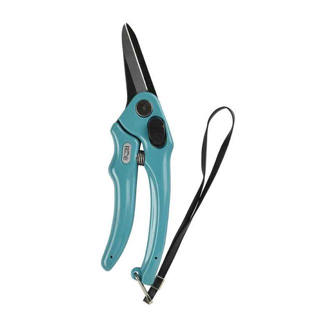 Hovedbilde Professional Footrot Shear (Plain Blades): En ...