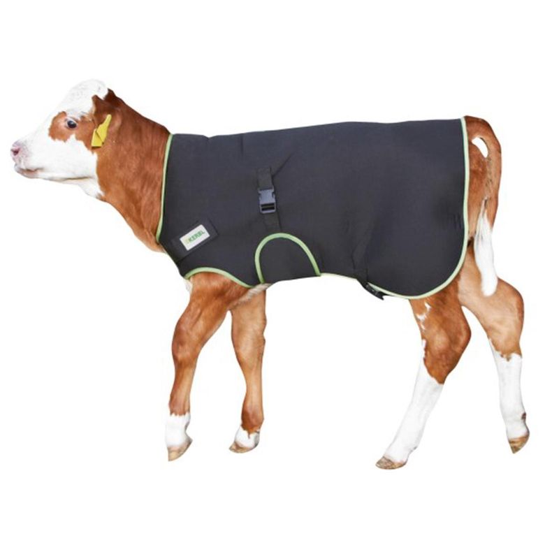 Kalvedekken premium 80 cm